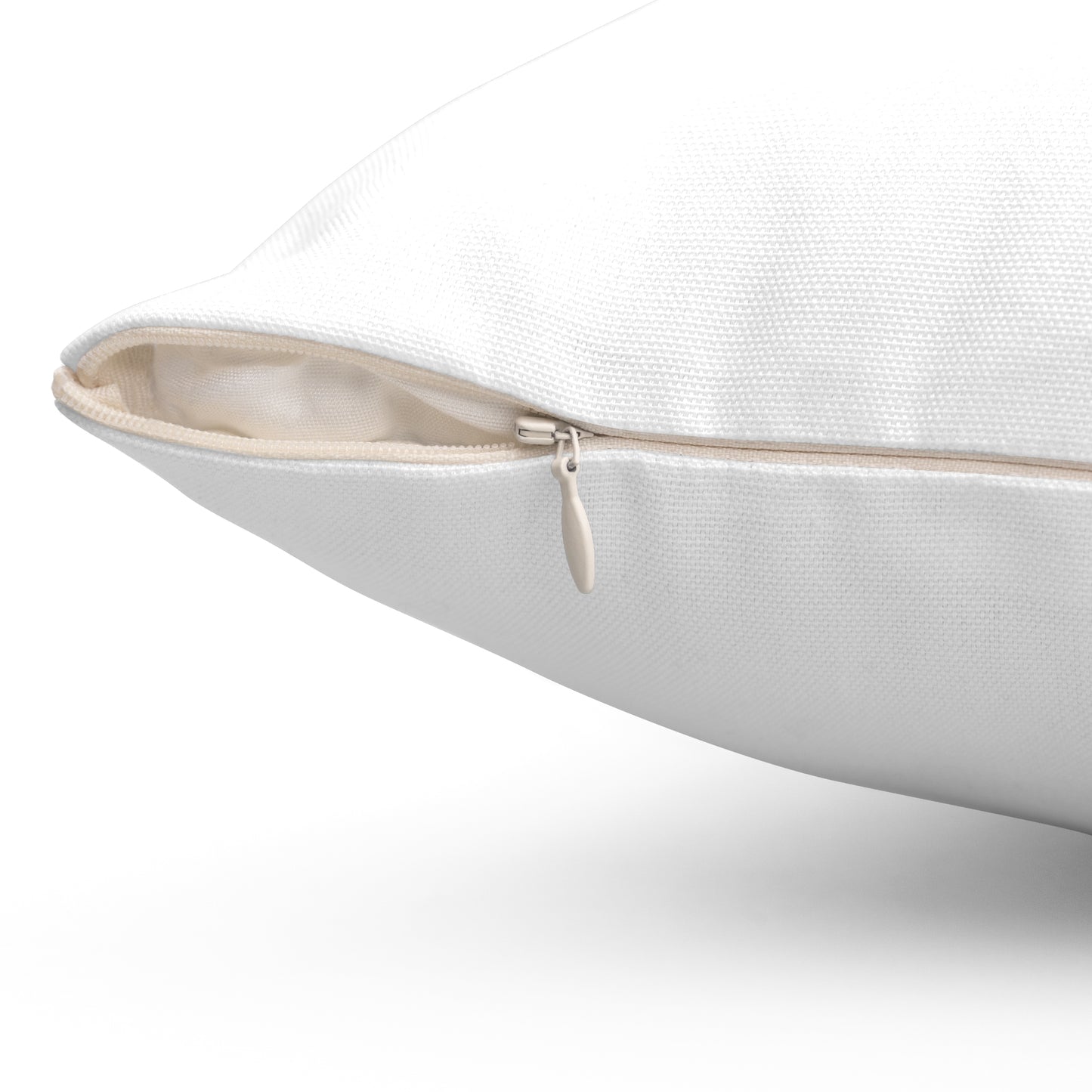 The Visualization Pillow – Your Anchor to Your Future (US & Canada)